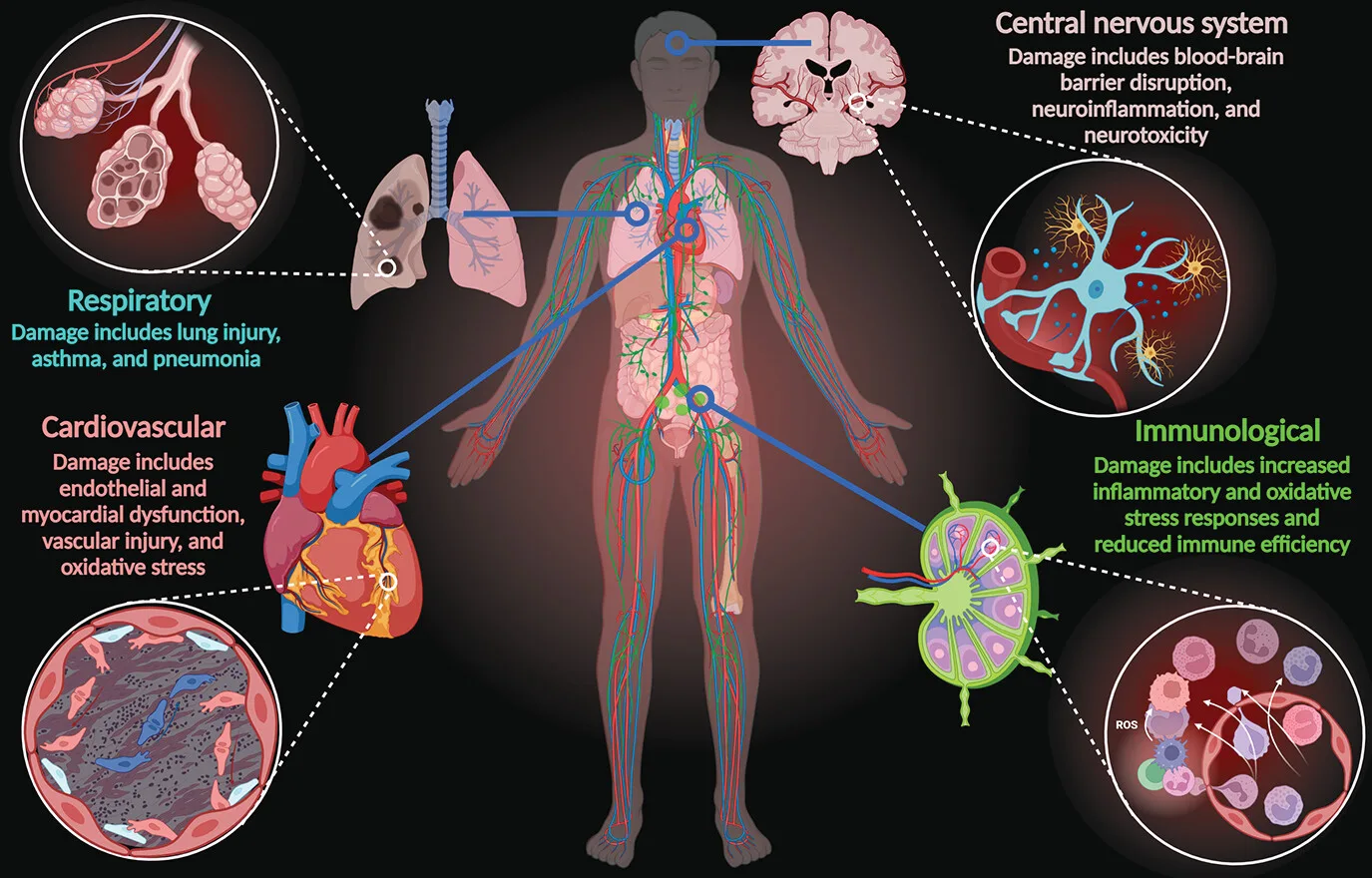 images_large_appi.neuropsych.20230184f2